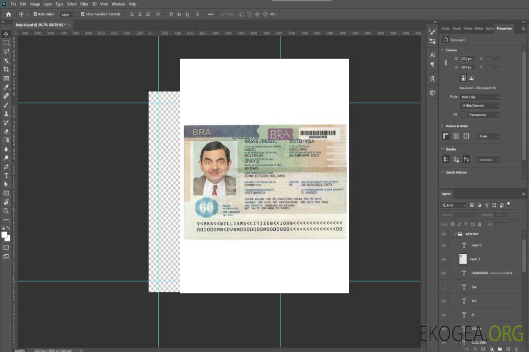 Visa BRÉSIL version 2 template Visa BRÉSIL version 2 template